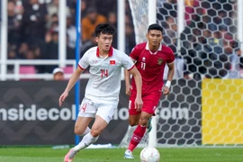 AFF Cup 2022: Thầy Park cần nhiều hơn ở Hoàng Đức, Quang Hải  