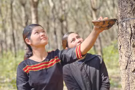 Những thanh niên Jrai dám nghĩ, dám làm