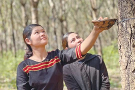 Những thanh niên Jrai dám nghĩ, dám làm