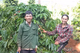 Làm giàu nhờ ý chí và nghị lực