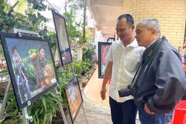 Văn học nghệ thuật 1 năm nhìn lại