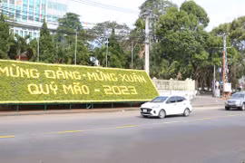 Pleiku tích cực chuẩn bị Tết Nguyên đán