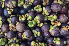 Bổ sung trái cây để thải độc, loại bỏ cặn bã, gan khoẻ mạnh