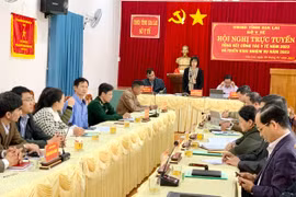 Phó Chủ tịch UBND tỉnh Nguyễn Thị Thanh Lịch: Tập trung xây dựng đề án phát triển y tế