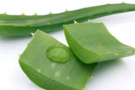 4 công dụng tuyệt vời của nha đam