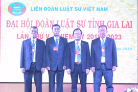 Ông Nguyễn Văn Lộc tái cử Chủ nhiệm Đoàn Luật sư tỉnh Gia Lai