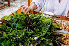 Gỏi lá là đặc sản độc đáo của tỉnh nào?