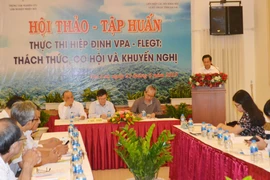 Hội thảo thực thi Hiệp định VPA-FLEGT: Cơ hội, thách thức và khuyến nghị