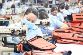 Đón ngày đặc biệt, gần 100% hàng Việt sang EU được xóa bỏ thuế