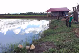 Đak Đoa: Thu nhập khá nhờ chuyển ruộng lúa kém hiệu quả sang nuôi cá