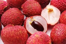 Trẻ nhỏ chỉ nên ăn 3-4 quả vải một lần:Đây là lí do tại sao