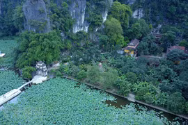 Mùa sen ở chùa Bích Động - Vẻ đẹp thần tiên khó cưỡng