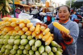 Bắp luộc bán hơn 600trái/ngày khiến Việt kiều tìm đến: 'Tôi bán đến khi chết!'