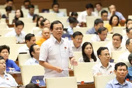 Quốc hội biểu quyết ba luật và thảo luận về hai dự án luật