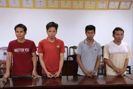 Bắt 4 đối tượng trộm hơn 1 tấn cáp viễn thông