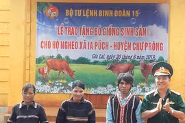 Binh đoàn 15: Trao tặng bò giống cho hộ nghèo xã Ia Puch