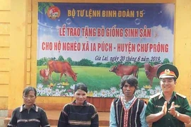 Binh đoàn 15: Trao tặng bò giống cho hộ nghèo xã Ia Puch