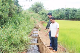 Mang Yang: Đầu tư kiên cố hóa hạ tầng thủy lợi