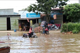 Tuyến đường Hồ Chí Minh đoạn qua huyện Ngọc Hồi, Kon Tum bị ngập nặng