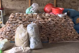 Phát hiện và tiêu hủy hơn 4 tấn thuốc Ama Kông không rõ nguồn gốc