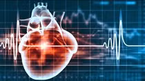 Rối loạn nhịp tim: Chớ xem thường