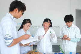 Nữ tiến sĩ đam mê nhân giống lúa