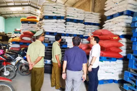 Ngành mía đường bị đẩy vào "tử địa", ai chịu trách nhiệm?