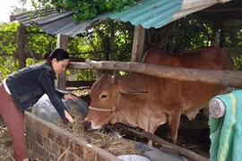 Phụ nữ Tân An giúp nhau thoát nghèo