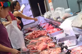 Thu mua lợn sạch, cấp đông thịt để đối phó dịch tả lợn châu Phi
