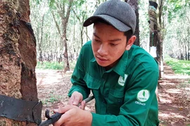 "Bàn tay vàng" được vinh danh toàn quốc