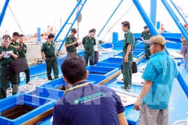 Sóc Trăng bắt tàu chở 100.000 lít dầu không rõ nguồn gốc