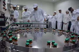 Tin vui: Khảo nghiệm vaccine ngừa dịch tả lợn Châu Phi rất khả quan