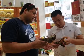 Thương nhân Hong Kong vượt nghìn km sang Việt Nam mua sâm Ngọc Linh