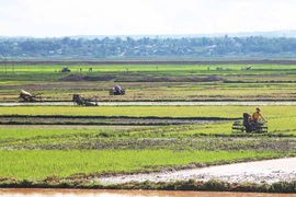 Đak Đoa đẩy mạnh sản xuất vụ mùa