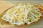 Những người tuyệt đối không ăn giá đỗ vì cực độc