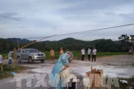 Cả nước có 60 tỉnh, thành phố xuất hiện dịch tả lợn châu Phi