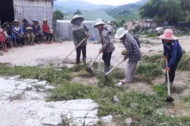 121 mô hình phụ nữ xây dựng nông thôn mới