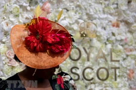 Ngắm nhìn những chiếc mũ độc đáo tại lễ hội đua ngựa Royal Ascot