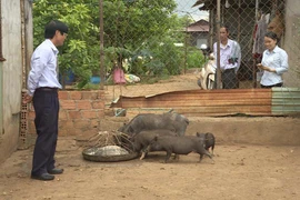 Cựu chiến binh Đặng Văn Hăng: Làm giàu từ mô hình đa canh, đa con