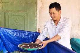 Chư Sê: Đa dạng hóa mô hình tập hợp thanh niên