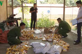 Bắt giữ gần 1000 chai thuốc BVTV bị cấm sử dụng tại Việt Nam