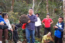 Lội rừng cùng chuyên gia nấm