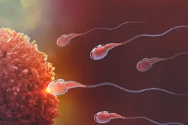 Muốn tăng bản lĩnh đàn ông, hãy ngủ sớm