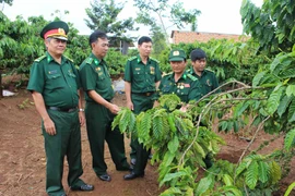 Cựu thanh niên xung phong Pleiku: Bản lĩnh, nghĩa tình