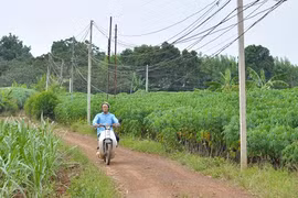Ngổn ngang dự án sân bay Long Thành