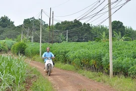 Ngổn ngang dự án sân bay Long Thành