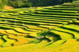 Giới trẻ mê mệt với vẻ đẹp của Pù Luông