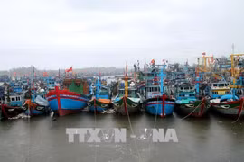 Các địa phương ven biển TK phòng tránh vùng AT ở Bắc Biển Đông