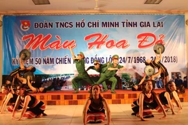 Gia Lai: Giao lưu văn nghệ chủ đề "Màu hoa đỏ"