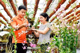 Lan tỏa tinh thần khởi nghiệp